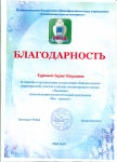 Благодарность РМИД